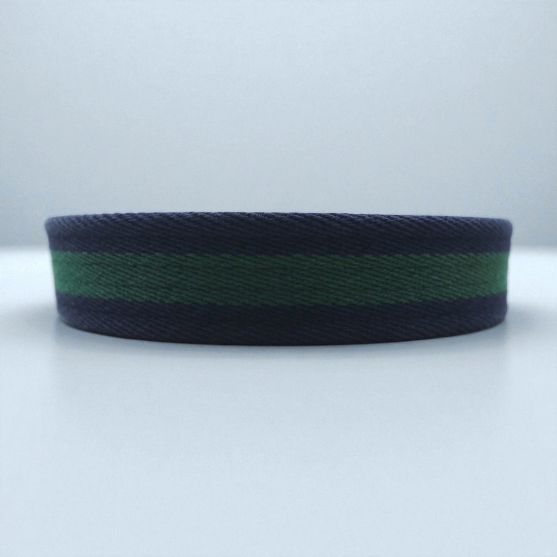 Polo Ralph Lauren Web Belt in Navy Cotton Canvas and Leather with a Brass Gold Buckle