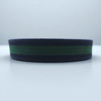 Polo Ralph Lauren Web Belt in Navy Cotton Canvas and Leather with a Brass Gold Buckle