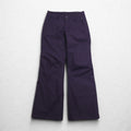 THE NORTH FACE Dryvent Shell Wind Pants S Purple Waterproof Breathable US Standard Sally Pants NF0A3339
