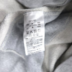 Champion Reverse Weave Pullover Hoodie, XL, Grey, Embroidered Script Logo, Blue Single Tag, Reprint, C3-L107