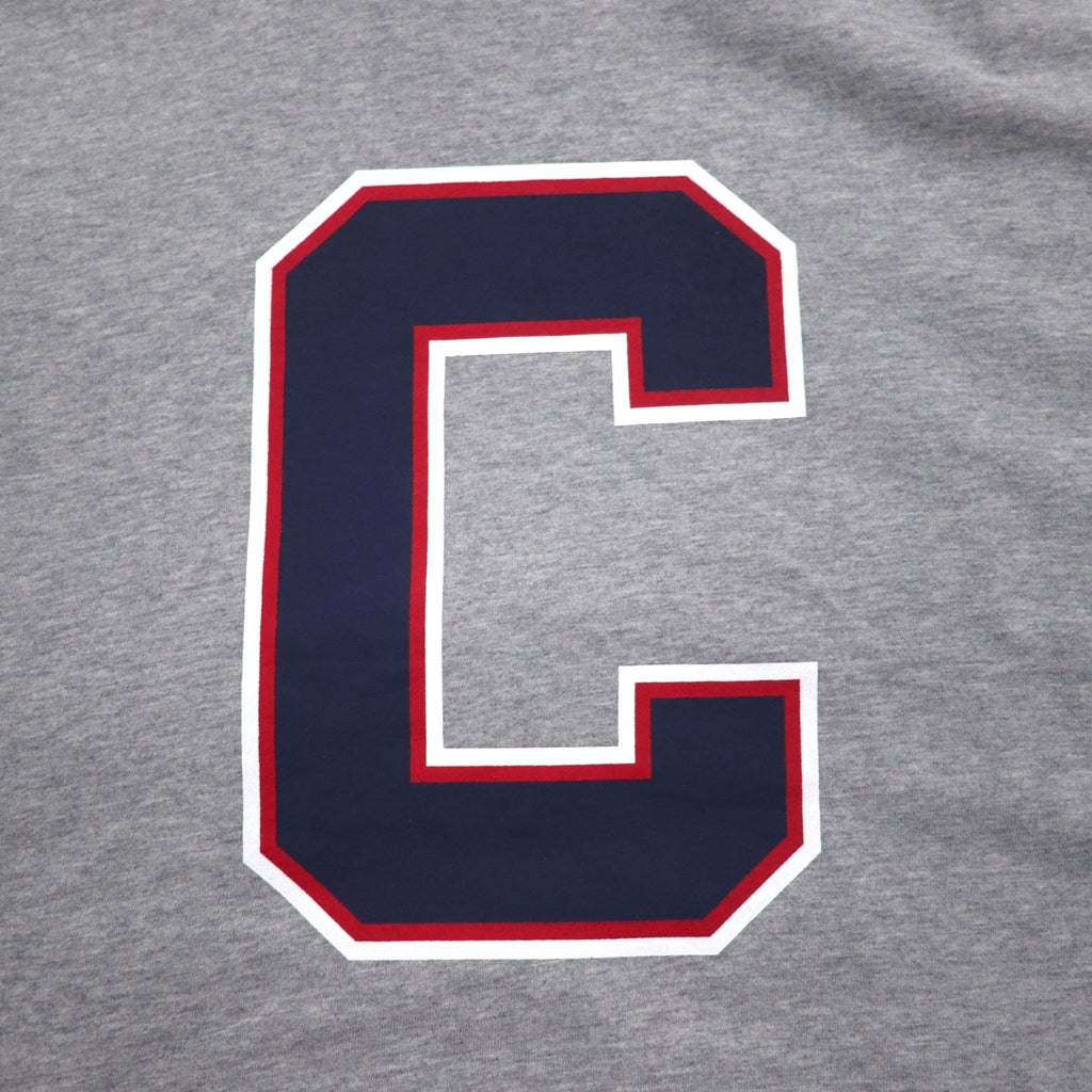 Champion プルオーバー パーカー XL グレー コットン バックプリント CORTLAND C8-U112