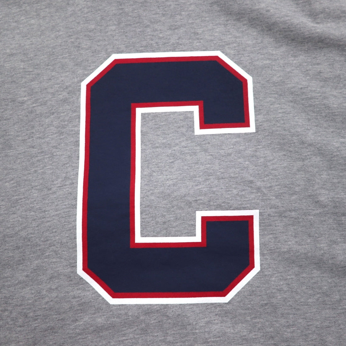 Champion プルオーバー パーカー XL グレー コットン バックプリント CORTLAND C8-U112