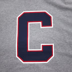 Champion プルオーバー パーカー XL グレー コットン バックプリント CORTLAND C8-U112