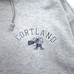 Champion プルオーバー パーカー XL グレー コットン バックプリント CORTLAND C8-U112