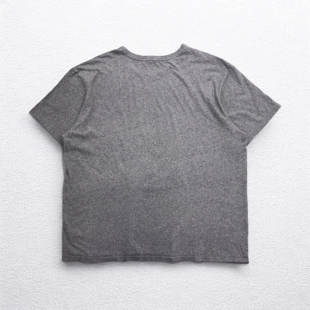 POLO RALPH LAUREN Small Pony Embroidered T-Shirt 2XL Grey Cotton
