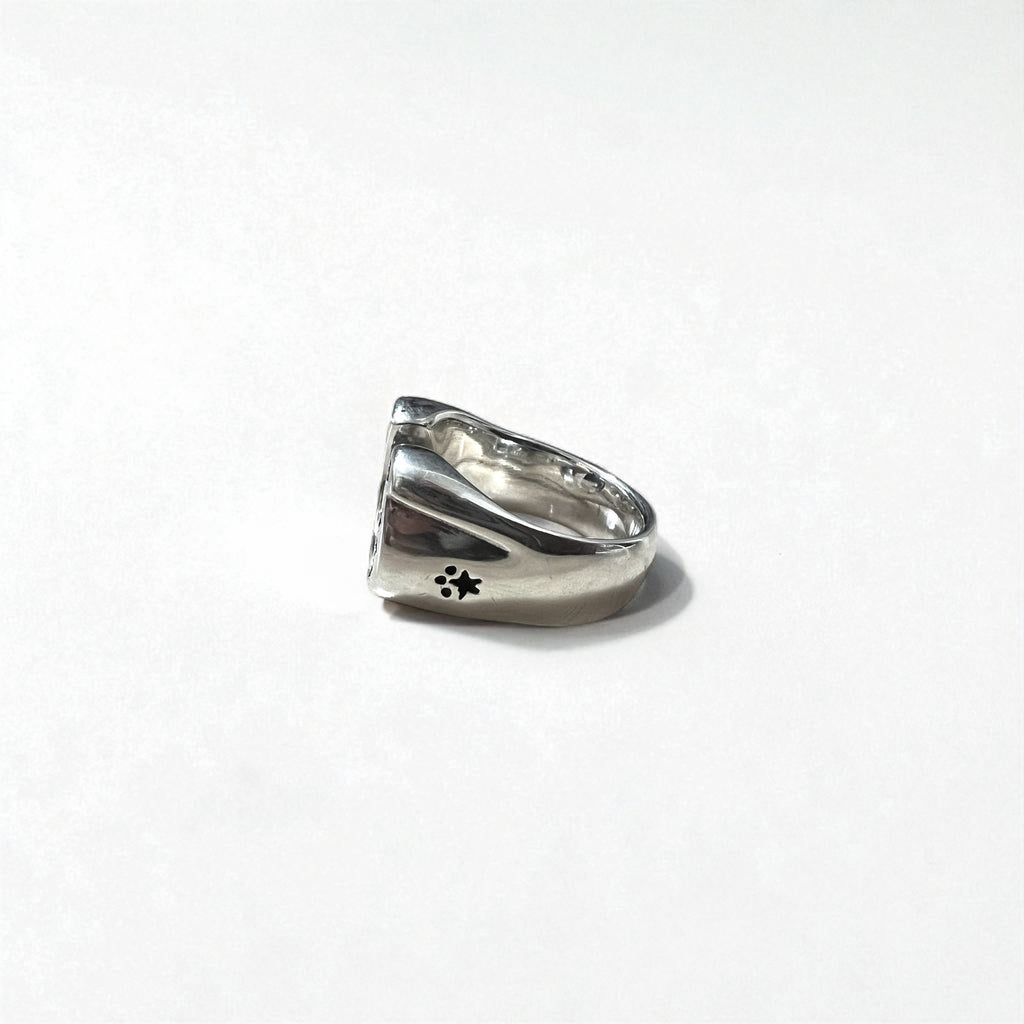 Rogues Horseshoe Ring, Size 21, 925 Silver, Star Design
