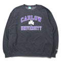 日本然リトテ-古着オンライン-Champion ECO カレッジ プリント スウェット XL グレー コットン 裏起毛 CARLOW UNIVERSITY アーチロゴ 3段 ホンジュラス製-Champion ECO College Print Sweatshirt XL Gray Cotton brushed lining CARLOW UNIVERSITY Arch Logo 3 Tier Honduras Made