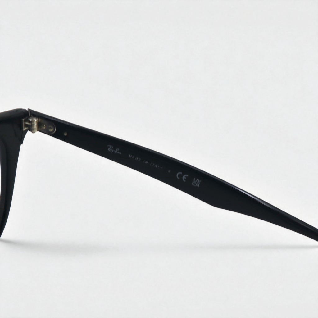 Ray-Ban ウェリントン サングラス ブラック RB4258-F 601/19 52-20 1N イタリア製