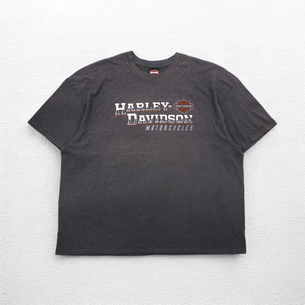 HARLEY DAVIDSON Double-sided Print T-Shirt 3XL Grey SILVER EAGLE Made in Nicaragua