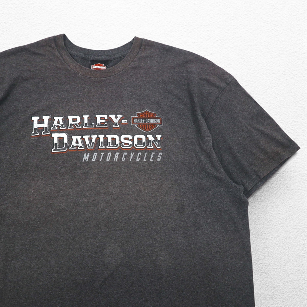 HARLEY DAVIDSON Double-sided Print T-Shirt 3XL Grey SILVER EAGLE Made in Nicaragua