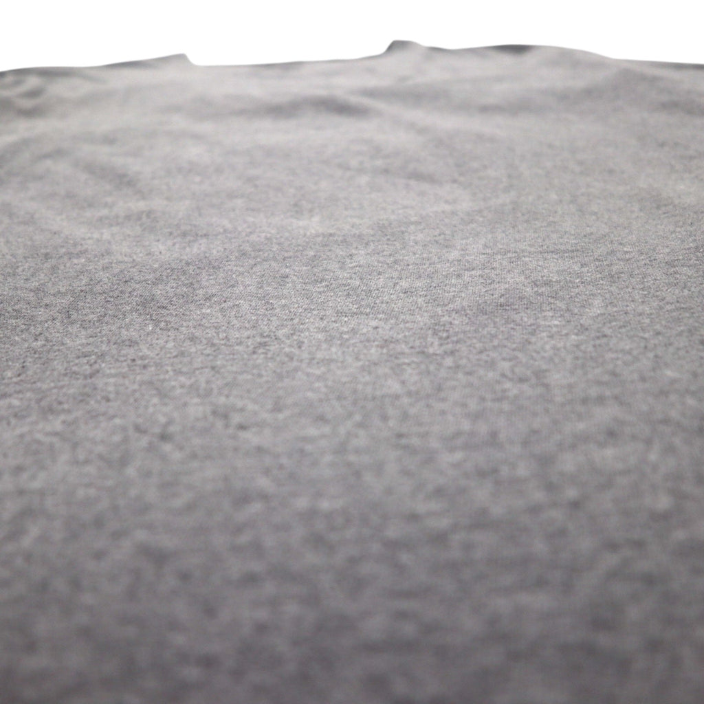 Patagonia P-6 Logo Cotton T-Shirt 2XL Grey Back Print 38906