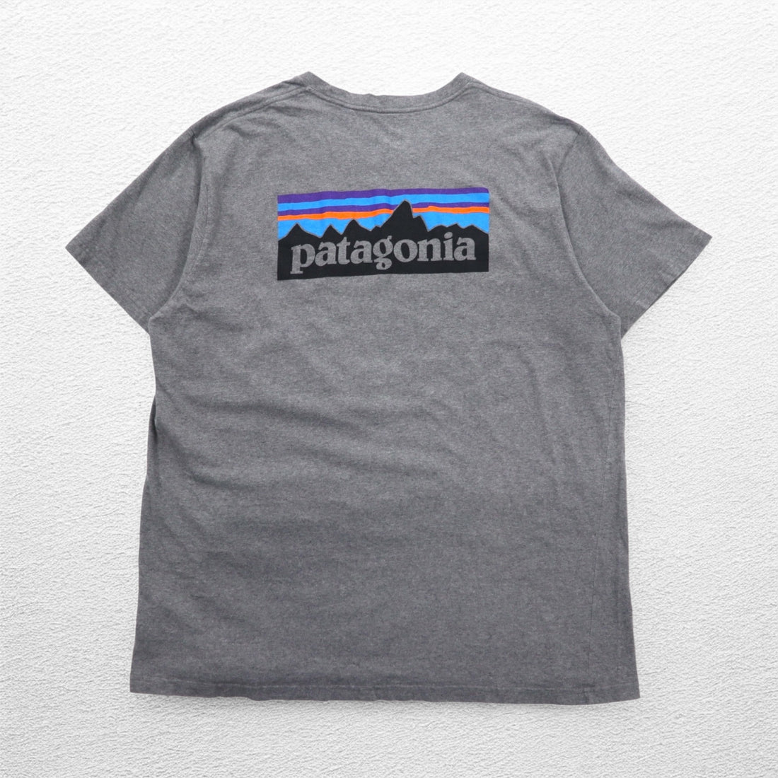 Patagonia P-6 Logo Cotton T-Shirt 2XL Grey Back Print 38906
