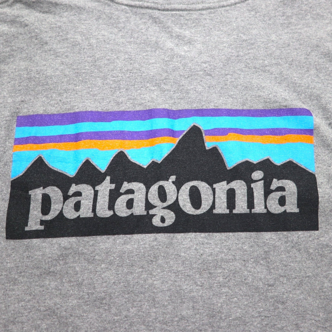 Patagonia P-6 Logo Cotton T-Shirt 2XL Grey Back Print 38906