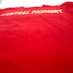 Champion College Print Sweatshirt, XL, Red, CENTRAL PIEDEMONT