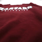 Champion College Sweatshirt, Size M, Bordeaux Cotton, Harvard