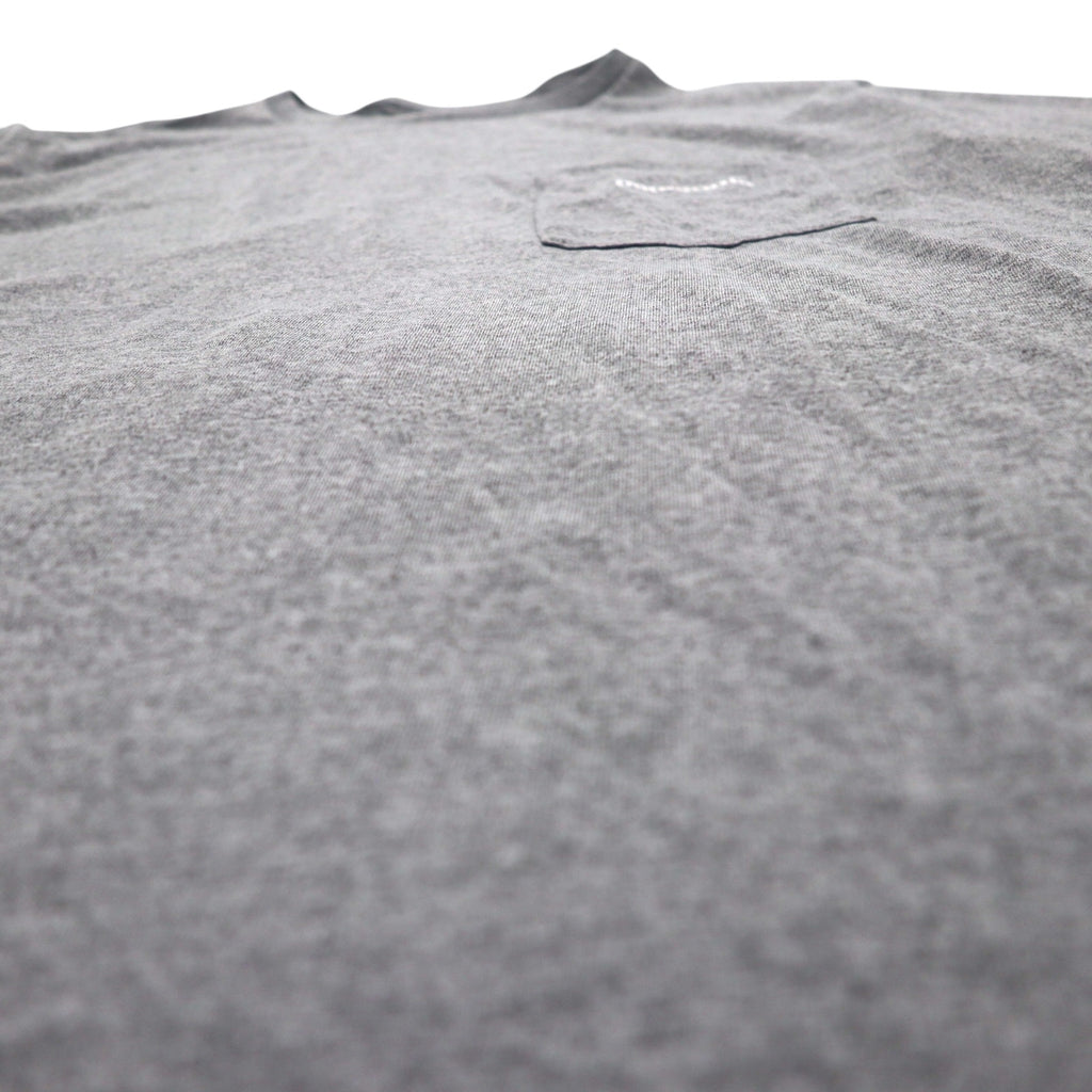 patagonia RESPONSIBLE TEE ポケット Tシャツ L グレー ポリエステル 39114