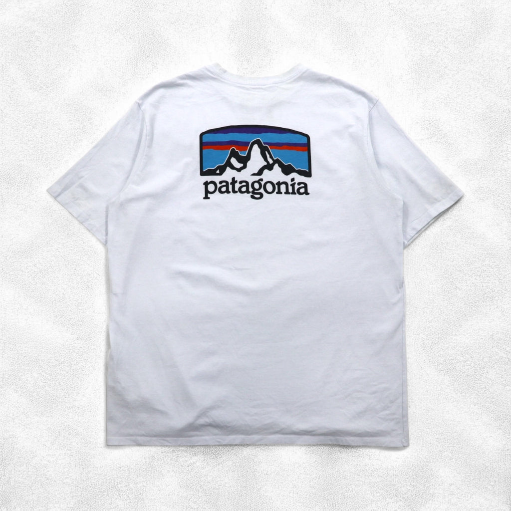Patagonia Roy Horizons T-shirt ROY HORIZONS L Blue Back logo print 38501 Made in Mexico