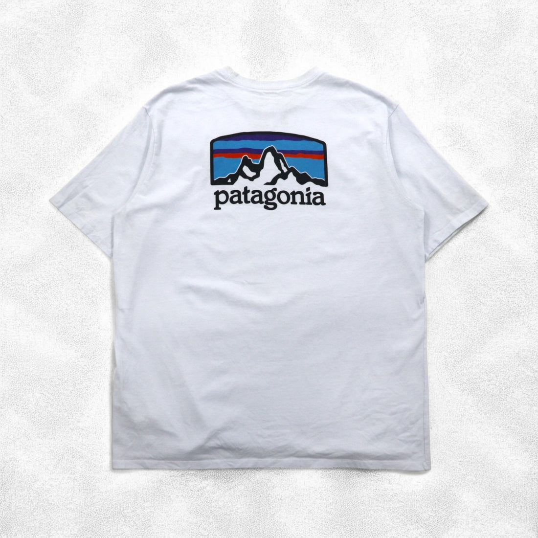 Patagonia Roy Horizons T-shirt ROY HORIZONS L Blue Back logo print 38501 Made in Mexico