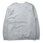 FRUIT OF THE LOOM 00s College Print Sweatshirt, XL, Grey, Cotton, ALBANY HUSKIES 3-Layer Print, Made in Mexico