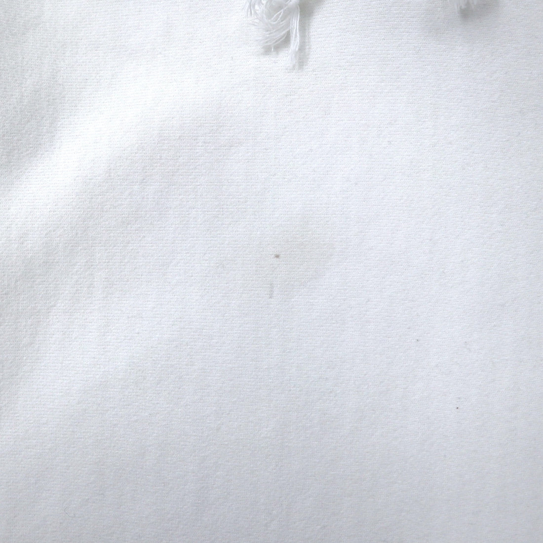 Champion Reverse Weave Pullover Hoodie XL White Cotton Blue Single Tag Reprint REVERSE WEAVE GF68WHC Made in Honduras