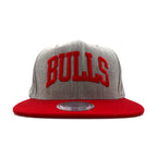 mitchell & ness バイカラー スナップバック ベースボールキャップ FREE グレー NBA CHICAGO BULLS