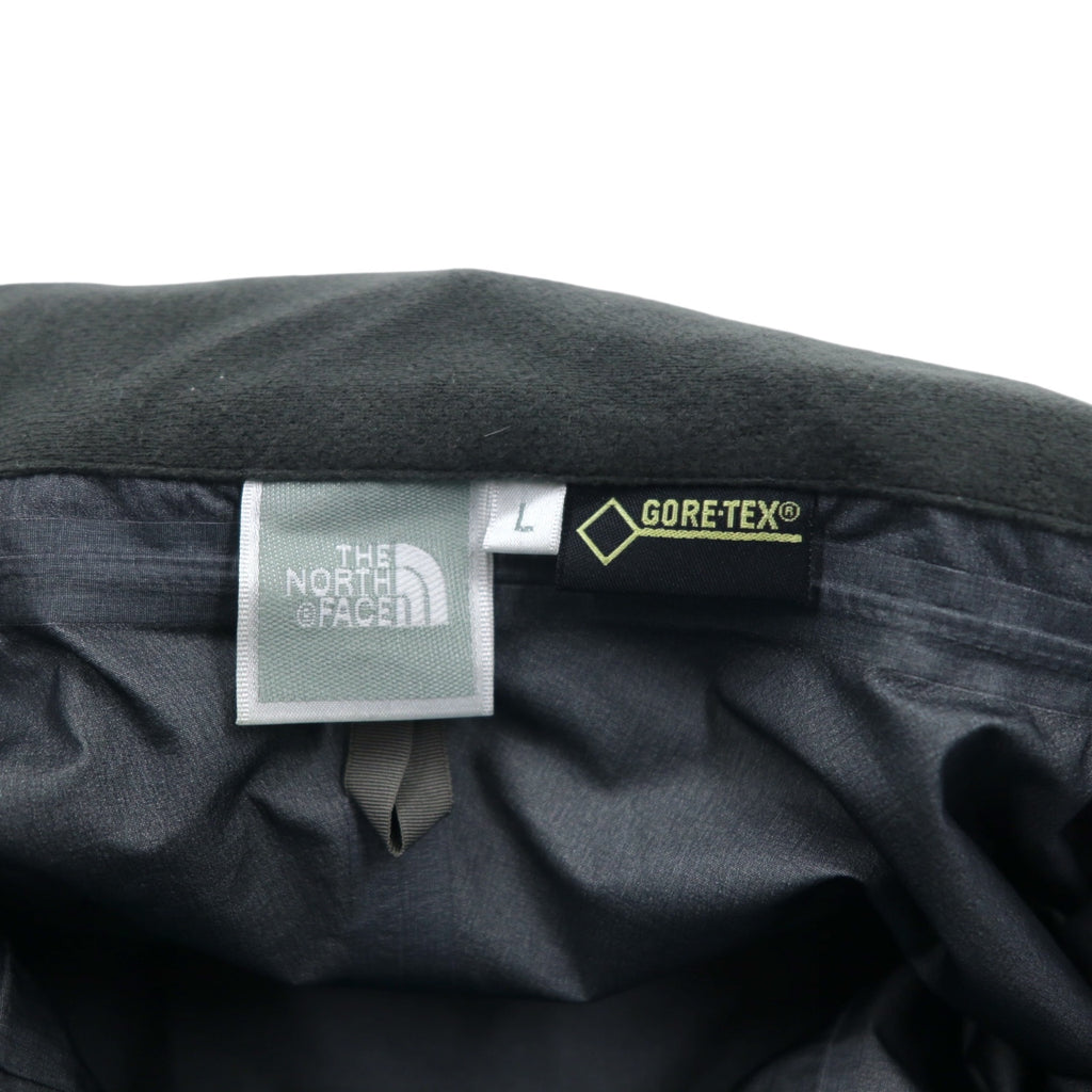 THE NORTH FACE レインテックス プラズマ RAINTEX PLASMA ゴアテックス GORE-TEX 防水 マウンテンパーカー セットアップ L ブルー ネイビー ナイロン NPW11402