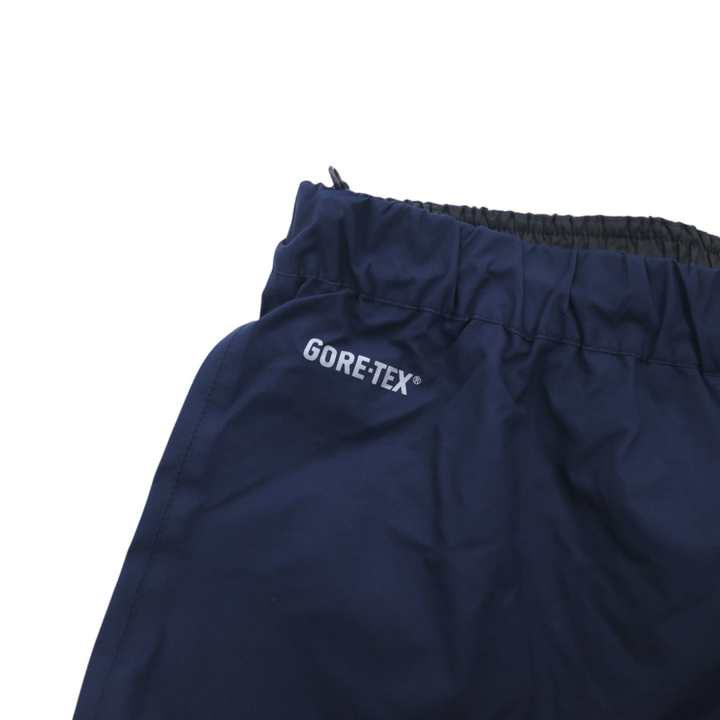 THE NORTH FACE レインテックス プラズマ RAINTEX PLASMA ゴアテックス GORE-TEX 防水 マウンテンパーカー セットアップ L ブルー ネイビー ナイロン NPW11402