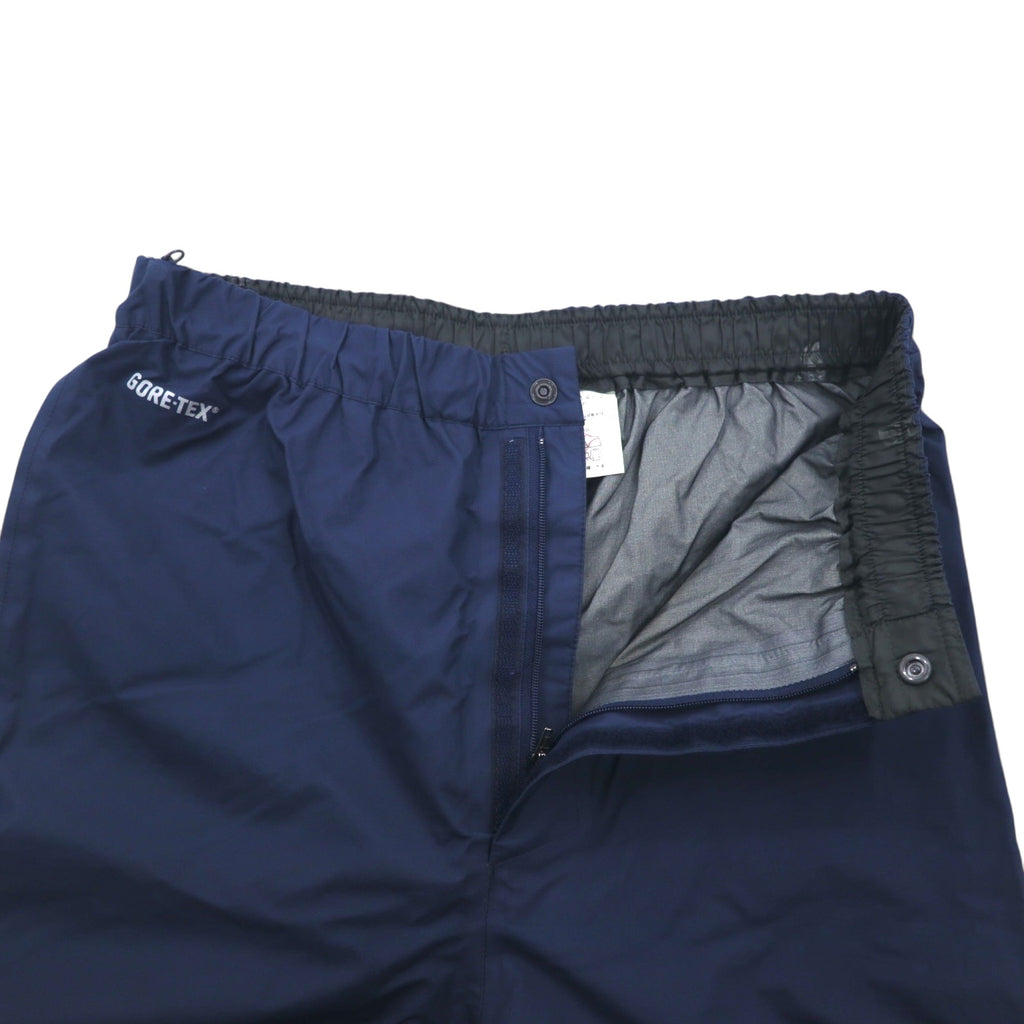 THE NORTH FACE レインテックス プラズマ RAINTEX PLASMA ゴアテックス GORE-TEX 防水 マウンテンパーカー セットアップ L ブルー ネイビー ナイロン NPW11402