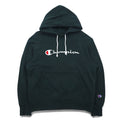 Champion Pullover Sweatshirt Hoodie L Green Script Logo CWSQ106R