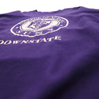 MV SPORT 90s Reverse Weave PRO-WEAVE College Print Sweatshirt XL Purple Fleece Lining DOWNSTATE