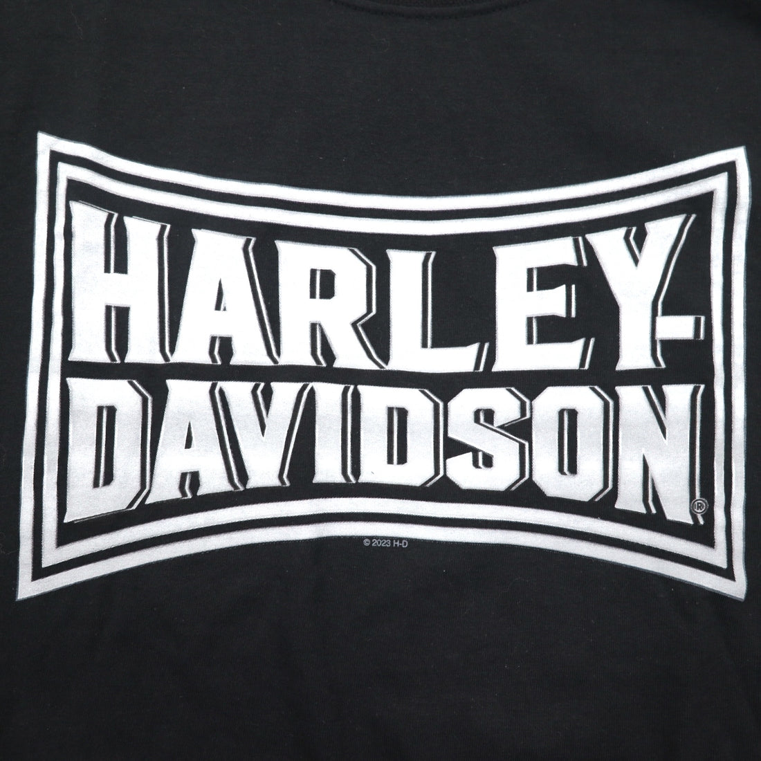 HARLEY DAVIDSON Double-sided Print T-shirt XXL Black Cotton TOKYO JAPAN