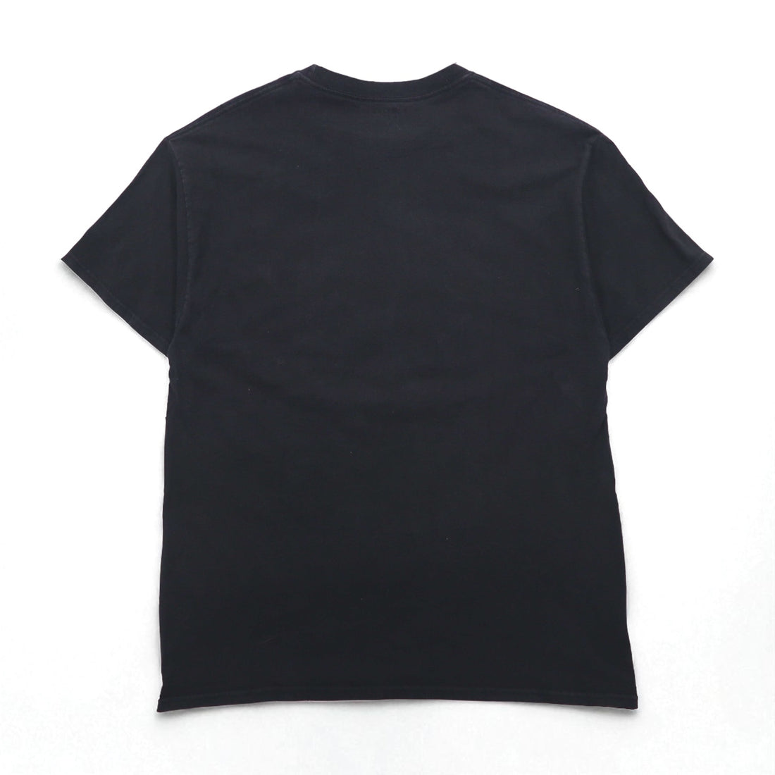 Champion College Print T-Shirt, XL, Black Cotton, Florida State Arch Logo